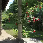 公寓 Lucherina 斯特雷萨