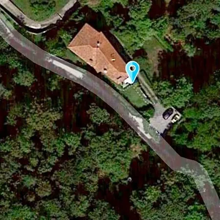 Lucherina 스트레사