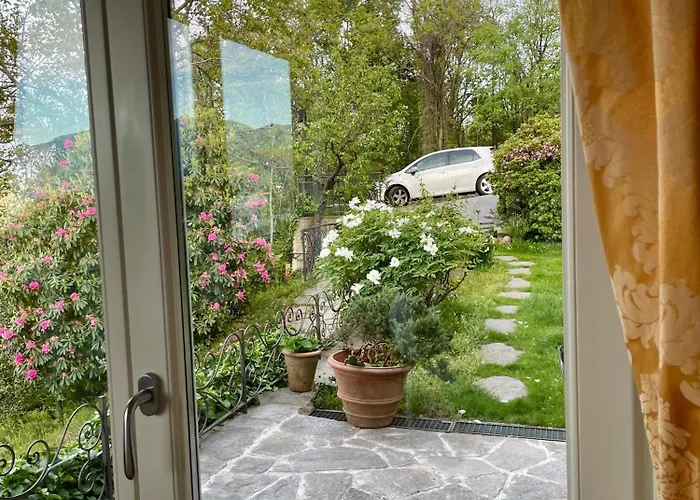 Lucherina 스트레사